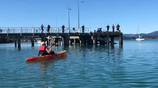 Kayaking Ohiwa Harbour