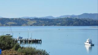 Ohiwa Harbour Fishing