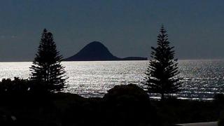 Moutohora Whale Island