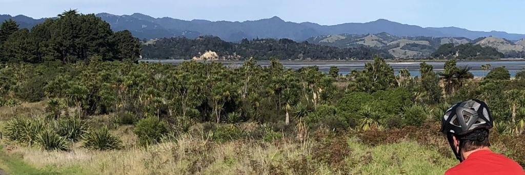 Ohope Beach Cycling 